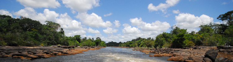 Groepsrondreis Suriname