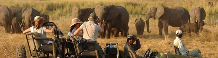 Individuele rondreis Botswana