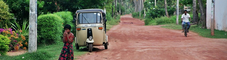 Individuele rondreis Sri Lanka
