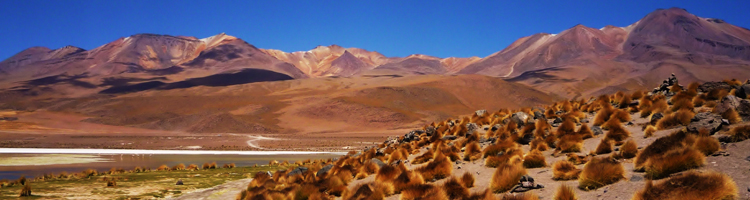 Rondreizen Bolivia
